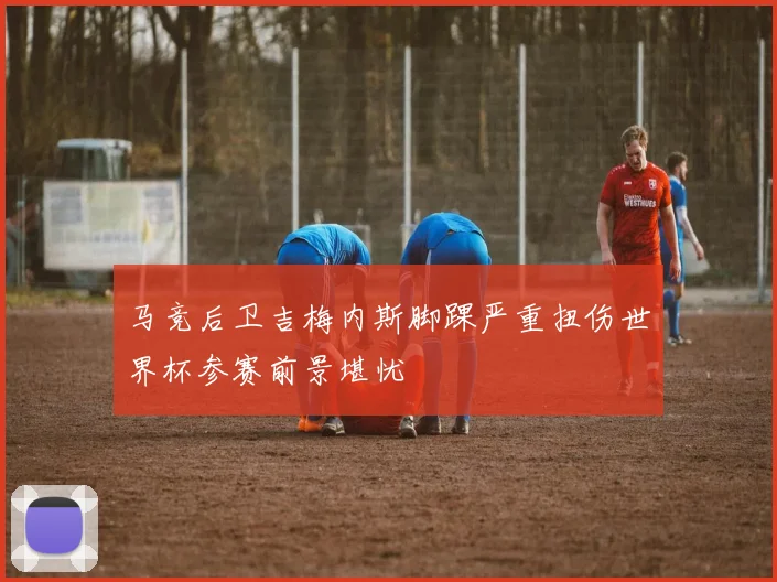 马竞后卫吉梅内斯脚踝严重扭伤世界杯参赛前景堪忧