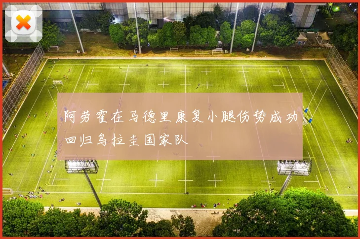 阿劳霍在马德里康复小腿伤势成功回归乌拉圭国家队